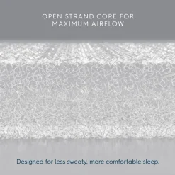 Bassinest 3.0 + FR-Free Mattress Bundle
