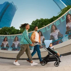 Dragonfly Stroller with Bassinet