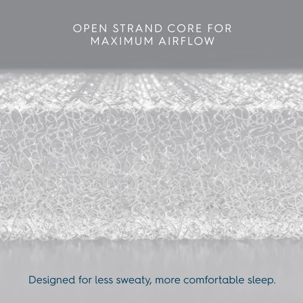 Luxe Next Gen Bassinest + FR-Free Mattress Bundle