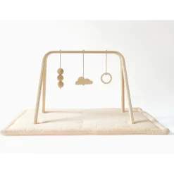 NAHO Activity Arch