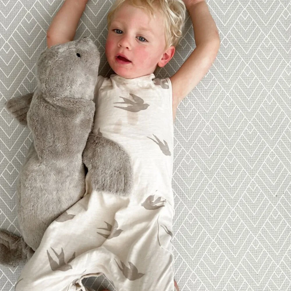 Organic Seal Cuddly Animal