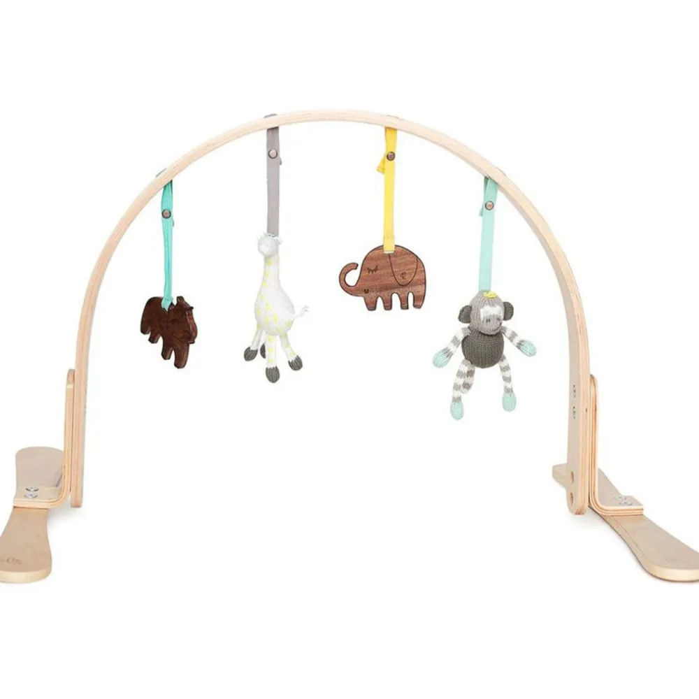 Play Gym