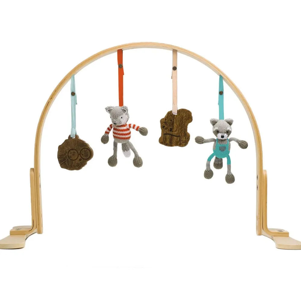 Play Gym