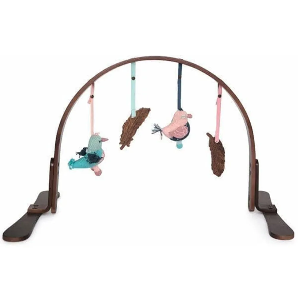 Play Gym