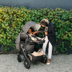 Vista V3 Double Stroller
